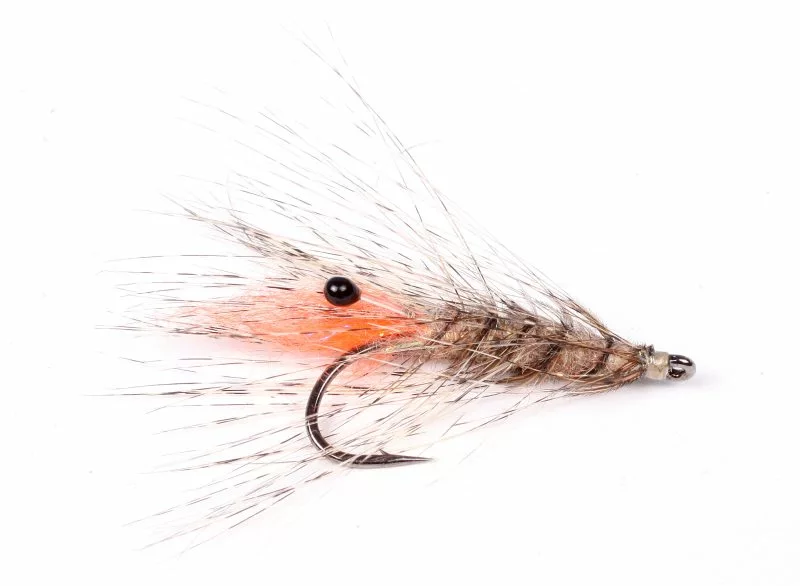 Guideline Laser Shrimp #8 3 Guideline Laser Shrimp #8