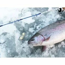 Fladen Deep Light Blinkdiod -Spoons Sales 465 01r 2