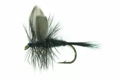 Unique Flies Black Gnat Black TMC 100 #12