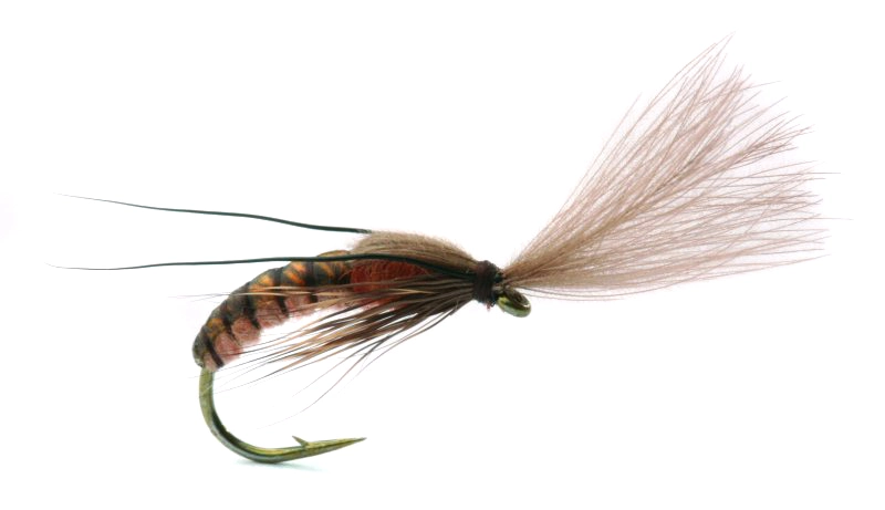 Umpqua Flugor Super Emerging Caddis Cinnamon 3 Umpqua Flugor Super Emerging Caddis Cinnamon
