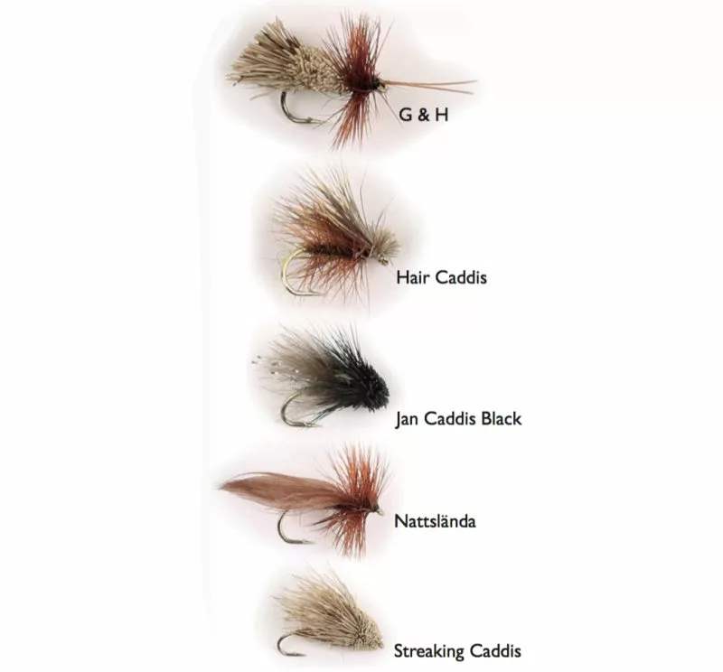 Wiggler Dry Fly Sedges 5-pack 3 Wiggler Dry Fly Sedges 5-pack